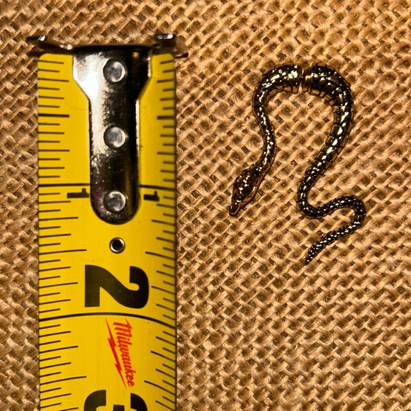 Front-Back Snake Earrings (2) - Picture 7 of 8